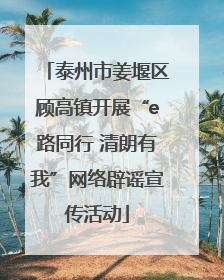 泰州市姜堰区顾高镇开展“e路同行 清朗有我”网络辟谣宣传活动