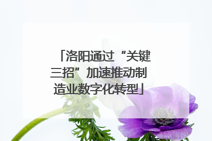 洛阳通过“关键三招”加速推动制造业数字化转型