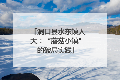 洞口县水东镇人大：“蘑菇小镇”的破局实践