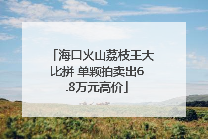 海口火山荔枝王大比拼 单颗拍卖出6.8万元高价