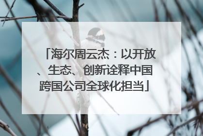 海尔周云杰：以开放、生态、创新诠释中国跨国公司全球化担当