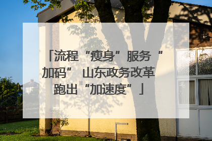 流程“瘦身”服务“加码” 山东政务改革跑出“加速度”