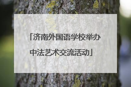 济南外国语学校举办中法艺术交流活动