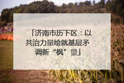 济南市历下区：以共治力量绘就基层矛调新“枫”景