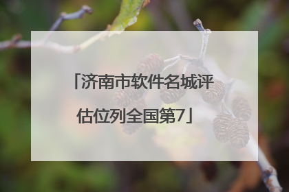 济南市软件名城评估位列全国第7