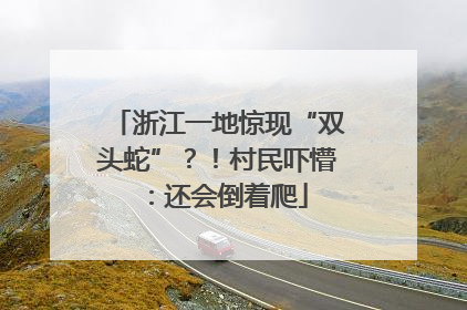 浙江一地惊现“双头蛇”？！村民吓懵：还会倒着爬