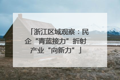 浙江区域观察：民企“青蓝接力”折射产业“向新力”