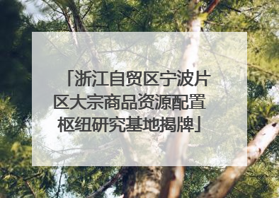 浙江自贸区宁波片区大宗商品资源配置枢纽研究基地揭牌