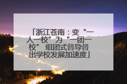 浙江苍南：变“一人一校”为“一团一校” 组团式督导督出学校发展加速度