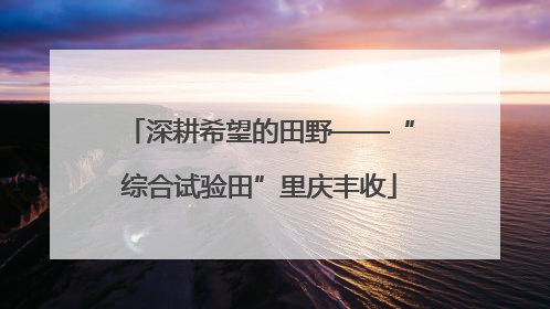 深耕希望的田野——“综合试验田”里庆丰收
