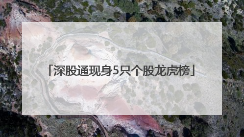 深股通现身5只个股龙虎榜