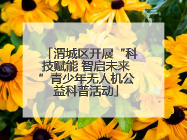 渭城区开展“科技赋能 智启未来”青少年无人机公益科普活动