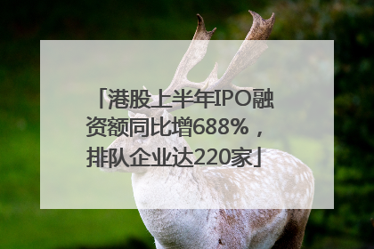 港股上半年IPO融资额同比增688%，排队企业达220家