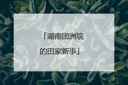 湖南团洲垸的田家新事