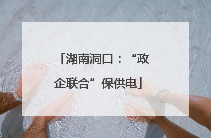 湖南洞口：“政企联合”保供电