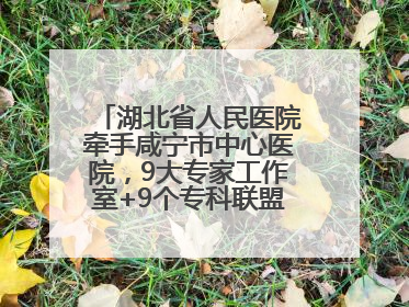 湖北省人民医院牵手咸宁市中心医院，9大专家工作室+9个专科联盟筑牢区域医疗网