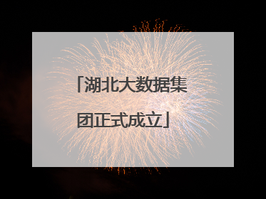 湖北大数据集团正式成立