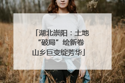 湖北崇阳：土地“破局”绘新卷 山乡巨变绽芳华