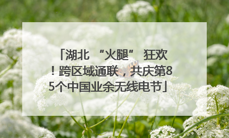 湖北 “火腿” 狂欢！跨区域通联，共庆第85个中国业余无线电节