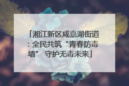 湘江新区咸嘉湖街道：全民共筑“青春防毒墙” 守护无毒未来