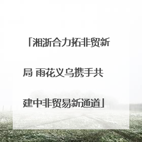 湘浙合力拓非贸新局 雨花义乌携手共建中非贸易新通道