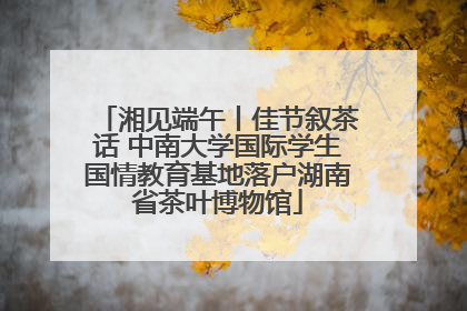 湘见端午丨佳节叙茶话 中南大学国际学生国情教育基地落户湖南省茶叶博物馆