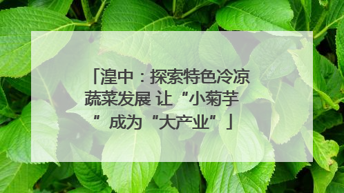 湟中：探索特色冷凉蔬菜发展 让“小菊芋”成为“大产业”