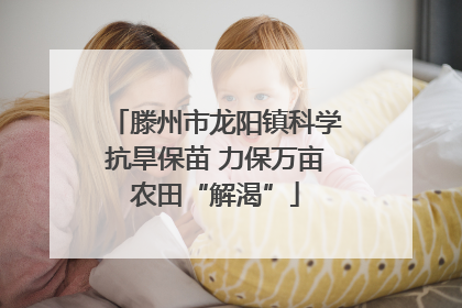 滕州市龙阳镇科学抗旱保苗 力保万亩农田“解渴”
