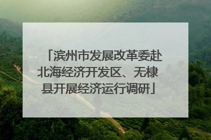 滨州市发展改革委赴北海经济开发区、无棣县开展经济运行调研
