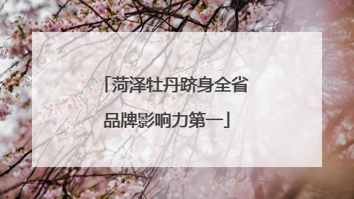 菏泽牡丹跻身全省品牌影响力第一