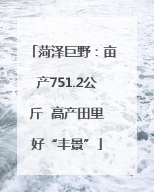 菏泽巨野：亩产751.2公斤  高产田里好“丰景”