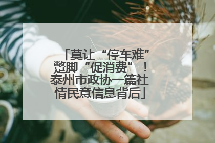 莫让“停车难”蹩脚“促消费”！泰州市政协一篇社情民意信息背后