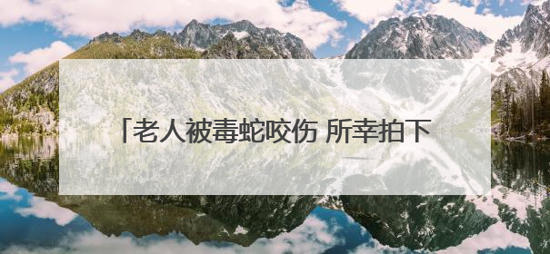老人被毒蛇咬伤 所幸拍下照片及时注射抗蛇毒血清
