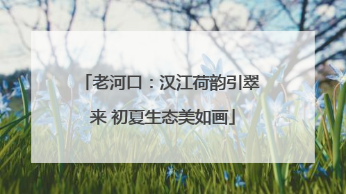 老河口：汉江荷韵引翠来 初夏生态美如画