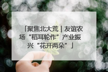 聚焦北大荒｜友谊农场“稻耳轮作”产业振兴“花开两朵”