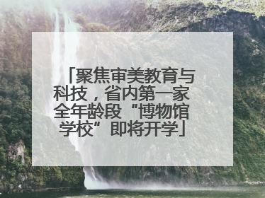 聚焦审美教育与科技，省内第一家全年龄段“博物馆学校”即将开学