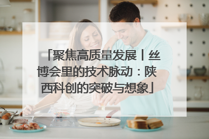 聚焦高质量发展丨丝博会里的技术脉动：陕西科创的突破与想象