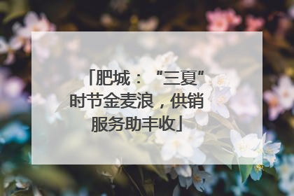 肥城：“三夏”时节金麦浪，供销服务助丰收