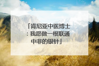 肯尼亚中医博士：我愿做一根联通中非的银针