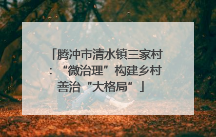 腾冲市清水镇三家村：“微治理”构建乡村善治“大格局”