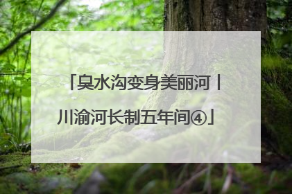 臭水沟变身美丽河丨川渝河长制五年间④