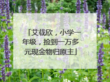 艾载欣，小学一年级，捡到一万多元现金物归原主