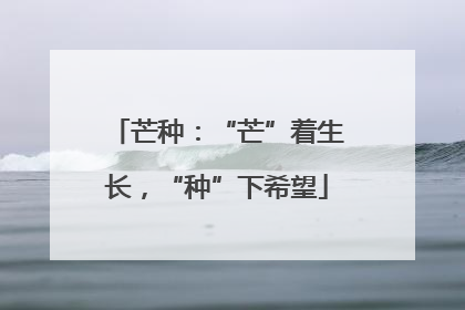 芒种：“芒”着生长，“种”下希望