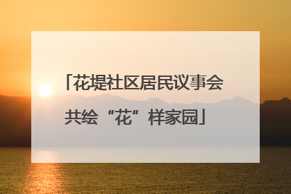 花堤社区居民议事会共绘“花”样家园