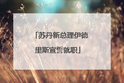 苏丹新总理伊德里斯宣誓就职