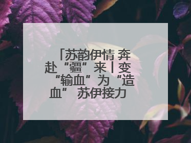 苏韵伊情 奔赴“疆”来丨变“输血”为“造血” 苏伊接力守护“心”生