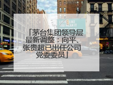 茅台集团领导层最新调整：向平、张贵超已出任公司党委委员