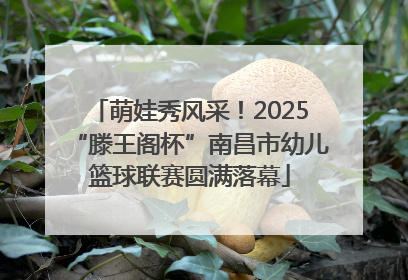 萌娃秀风采！2025“滕王阁杯”南昌市幼儿篮球联赛圆满落幕