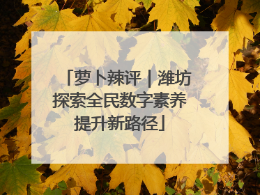 萝卜辣评｜潍坊探索全民数字素养提升新路径