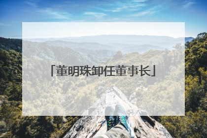 董明珠卸任董事长